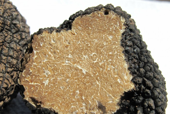 Örületes áron kelt el egy szarvasgomba Olaszországban