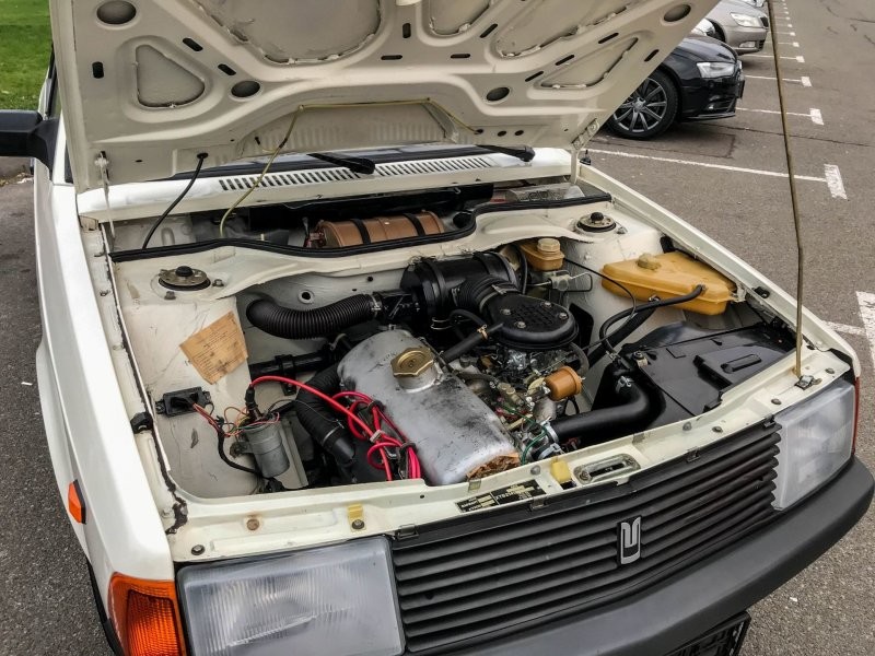 Valódi csoda, hogy láthatunk még Alekót ilyen állapotban 3