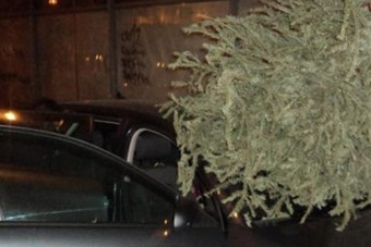 Ha lehet, ne így dobd majd ki a karácsonyfát