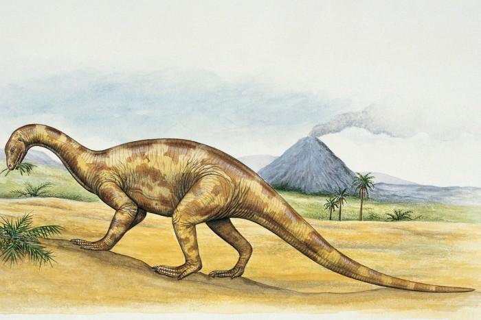 Digitálisan rekonstruálták egy dinoszaurusz agyát