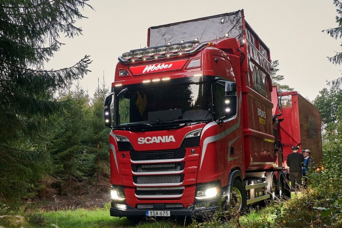 Ez a vörös szépség járja az erdőket télen