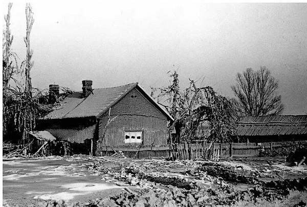 5 veszélyes állás, melyet semmi pénzért nem vállalnánk el 6