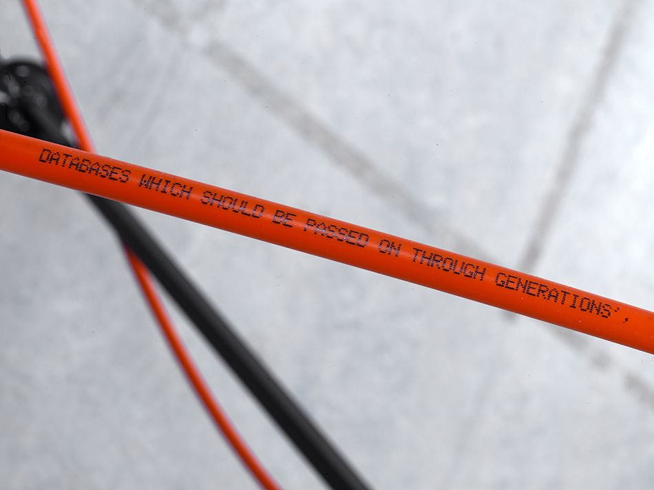 A világ legnagyobb Bibliája hosszabb, mint a Velencei-tó 4