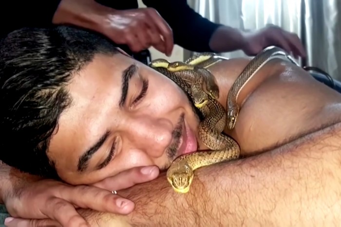 A kígyós masszázs a luxus új, őrült formája