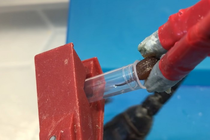 Egy cseppje is halálos lehet a világ egyik legdrágább folyadékának 2 | Vezess Egy cseppje is halálos lehet a világ egyik legdrágább folyadékának 2