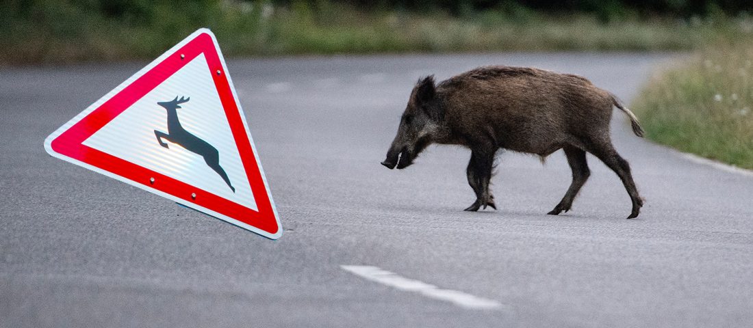 Ötmillió forintért küzd egy szabálykövető autós