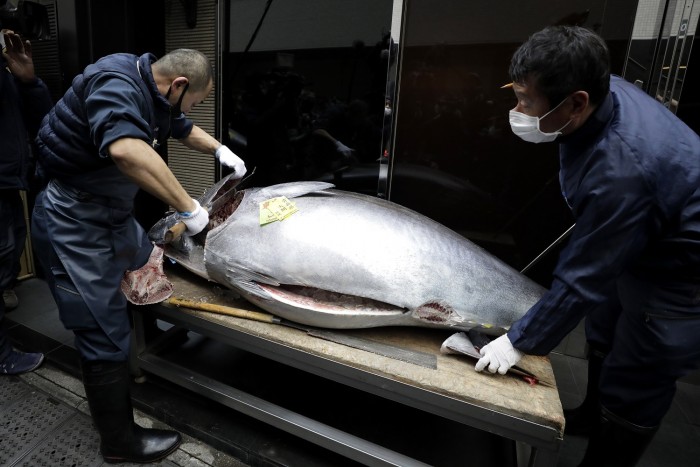 Milliókat fizettek az óriási tonhalakért a hagyományos vásáron