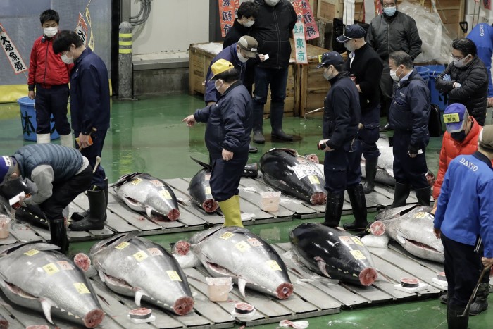 Milliókat fizettek az óriási tonhalakért a hagyományos vásáron 3