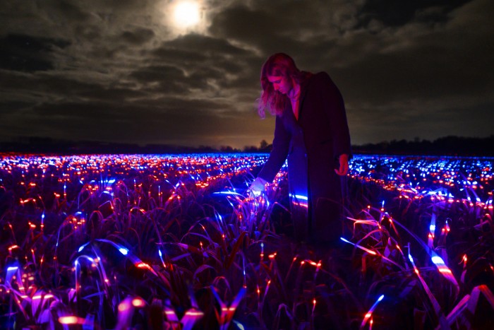 Az éjszaka világító szántóföld olyan, mintha egy idegen bolygón járnánk