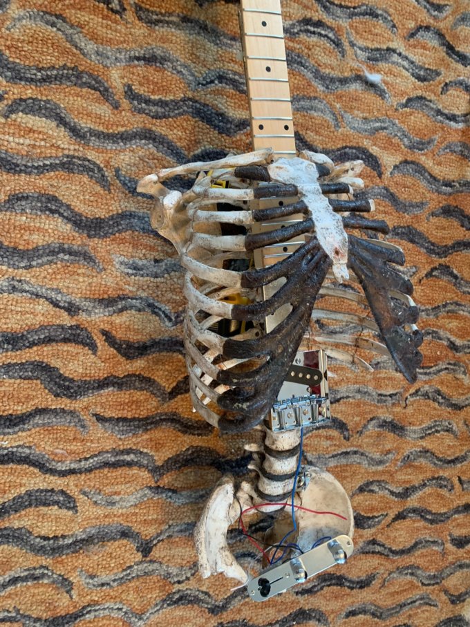 Halott nagybátyja csontjaiból épített gitárt egy metálrajongó 3