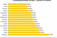 Ezeket a nyári gumikat érdemes választani 2021-re 15