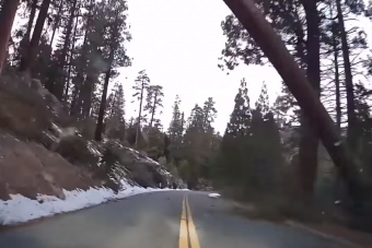 Dőlt a fa, padlógáz mentette meg az autósok életét