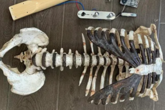 Halott nagybátyja csontjaiból épített gitárt egy metálrajongó
