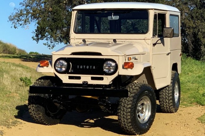 Fiatalító szervátültetés öreg kedvenceknek 3