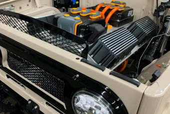 Fiatalító szervátültetés öreg kedvenceknek