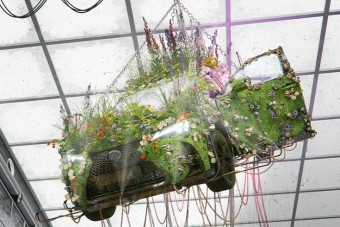 Ilyen szép időben az autók is kivirágoznak