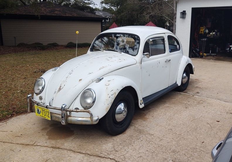 Értékes Bogár került elő egy elhagyott pajtából 3