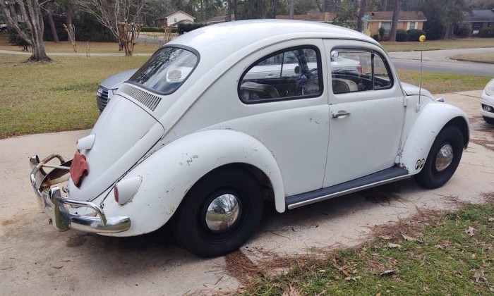 Értékes Bogár került elő egy elhagyott pajtából 2