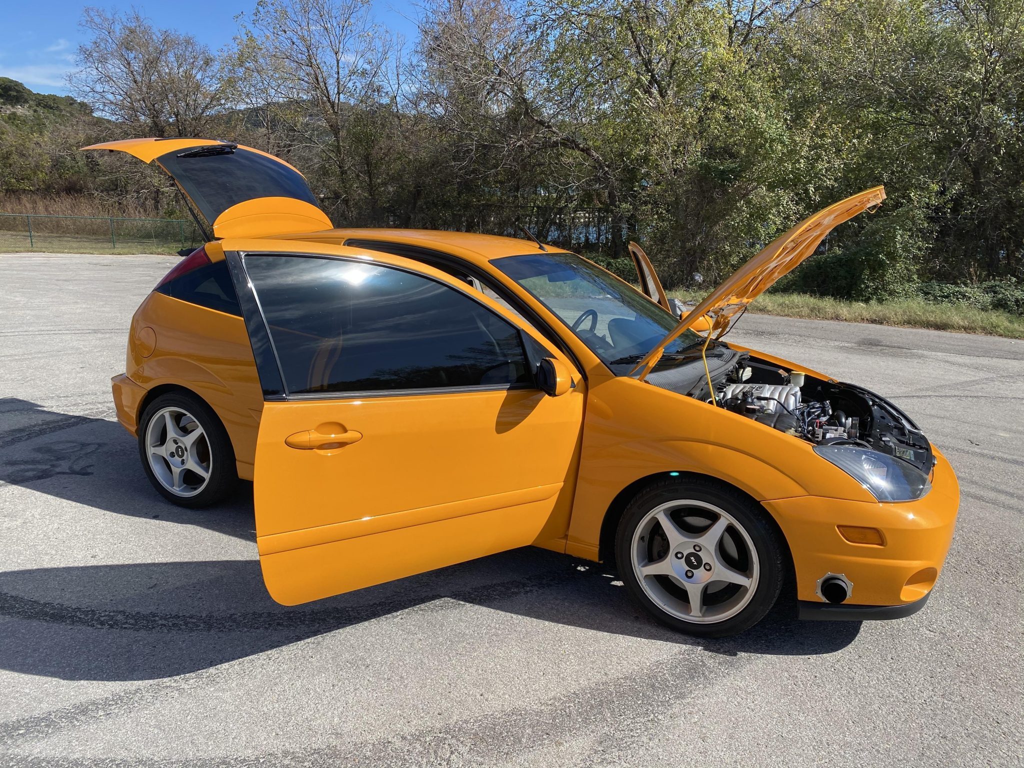 Egy amerikai vadló lakik ennek a Ford Focusnak a bőre alatt 2