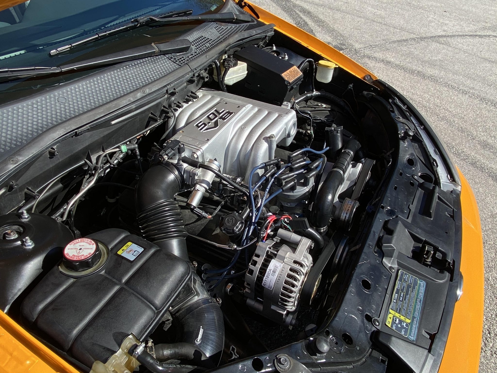 Egy amerikai vadló lakik ennek a Ford Focusnak a bőre alatt 4