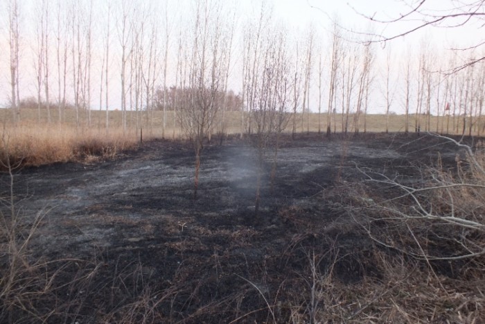 Menet közben kigyulladt a kocsija, erre kiszállt, otthagyta, és hazament 2 | Vezess Menet közben kigyulladt a kocsija, erre kiszállt, otthagyta, és hazament 2