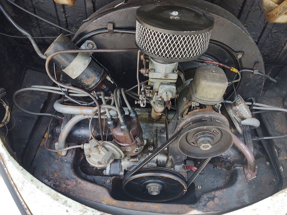 Értékes Bogár került elő egy elhagyott pajtából 4