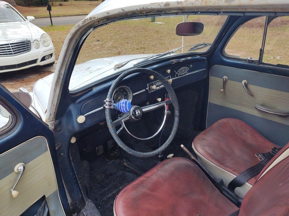 Értékes Bogár került elő egy elhagyott pajtából 5