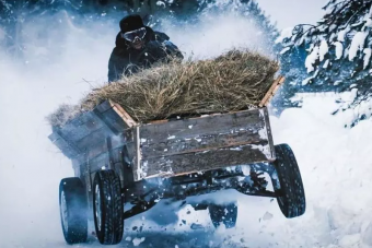 Szalmával megrakott szekér az új orosz driftkirály