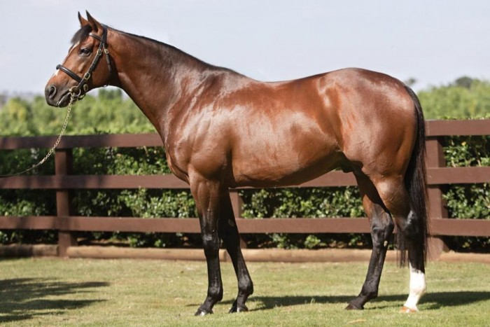 Meglepő helyről érkezik a világ legdrágább folyadéka