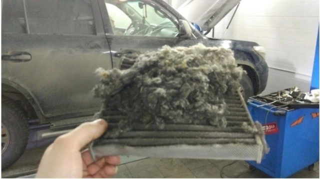 14 még friss, sírva röhögős fotó a műhelypokolból 13