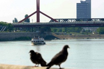 Idén nem indulnak el a BKV dunai hajói