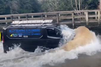 Vakmerő sofőrök sorra ölik meg autóikat ebben a mély pocsolyában