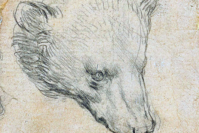 Milliárdokat fizethetnek egy Leonardo-rajzért