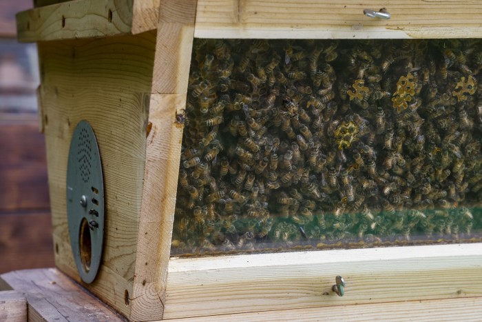 Meglepő dolgot épített a Lamborghini 5