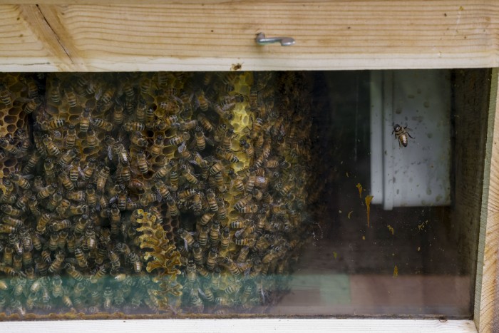 Meglepő dolgot épített a Lamborghini 6