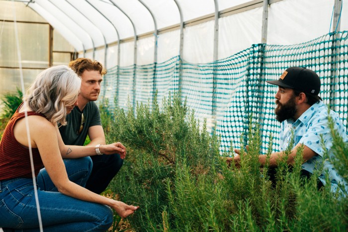 Ingyen álomnyaralást kínálnak, rengeteg sörrel 3