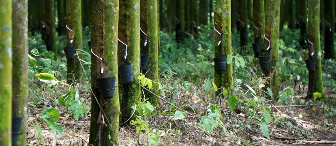 Fenntartható abroncsot kap a BMW óriáshibridje