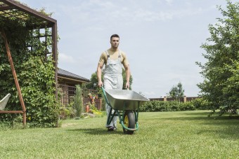 Nem várt veszélyek fenyegetik a férfiakat a ház körül