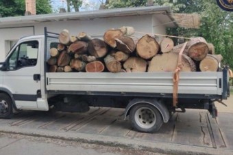Felpakolták a rönkfát a furgonra, de annyit, hogy a rendőröknek is feltűnt
