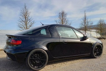 Ez a fekete méregzsák nem a szomszéd csaj Tigrája