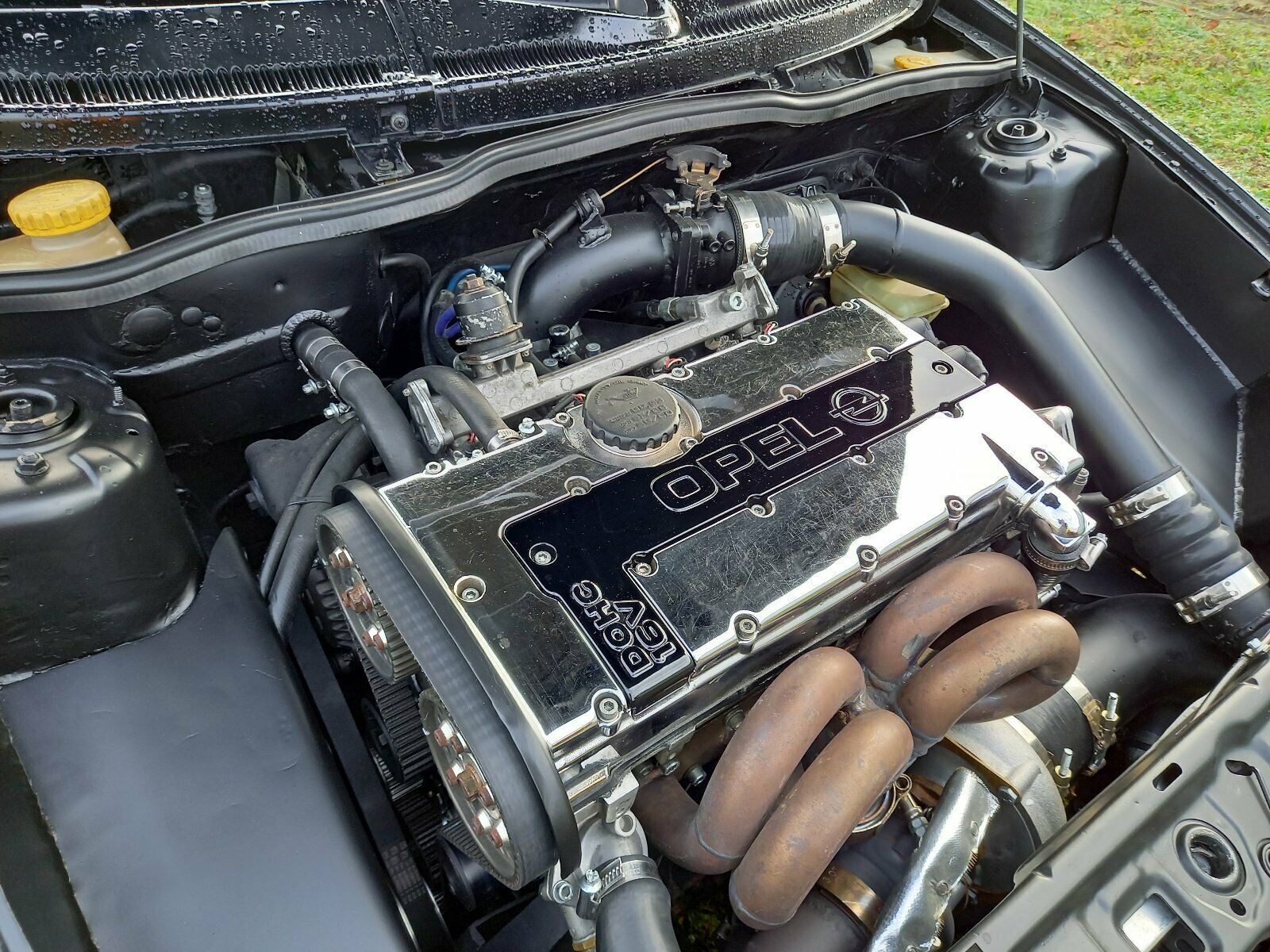 Ez a fekete méregzsák nem a szomszéd csaj Tigrája 2