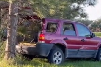 Ki akarta tépni a fenyőfát az autóval, mást nem is mondunk, inkább nézd meg