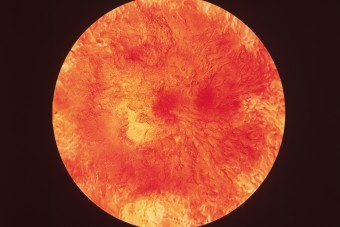 Üstökös közelíti meg a Vénuszt, meteorzápor jön 