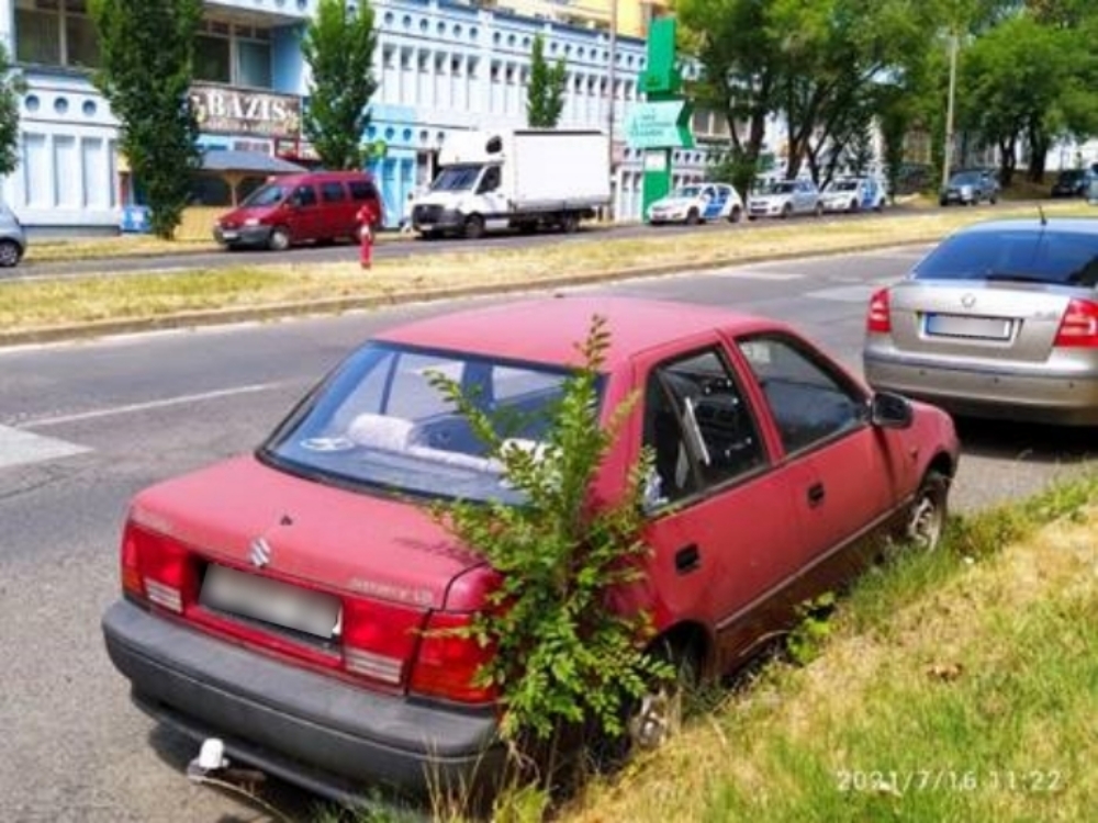 Olyan rég parkol Miskolcon egy Suzuki, hogy kinőtt belőle egy növény 3