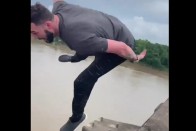 Hatalmas hüllőt gázolt, majd oszlopnak csapódott egy nő 2