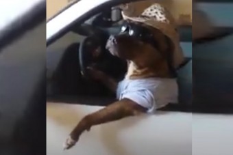 Te is kikönyökölsz az ablakon vezetés közben? Ezért ne csináld!