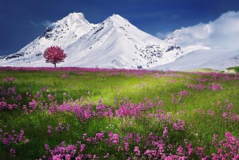 180 gleccsertó jött létre a svájci Alpokban