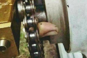 Fogta a fejét az autószerelő, amikor ezt meglátta