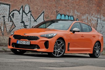 Kihalásra ítélt állatfaj - Kia Stinger