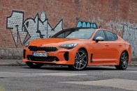 Kihalásra ítélt állatfaj – Kia Stinger 46